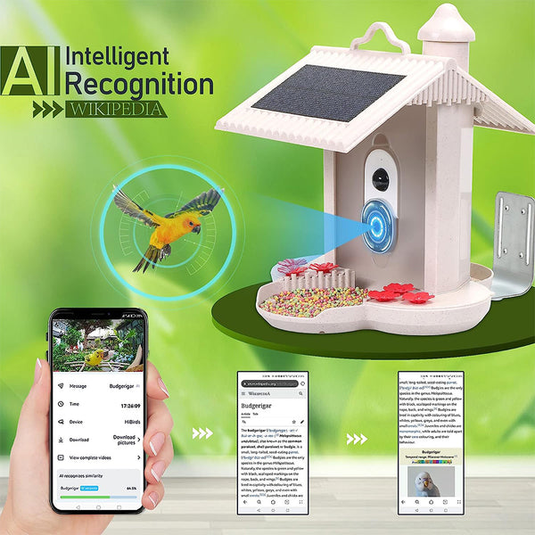 Bird feeder with camera and AI bird recognition for the garden - With built-in solar cell