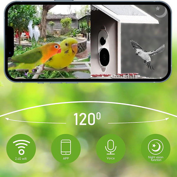 Bird feeder with camera and AI bird recognition for the garden - With built-in solar cell
