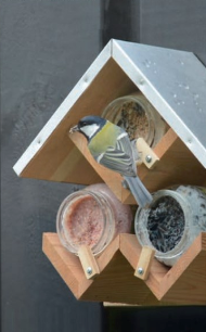 Feeding board for Friday sweets for birds