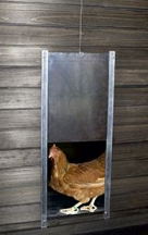 Vištienos viela vištidėms - Chicksafe - Alu